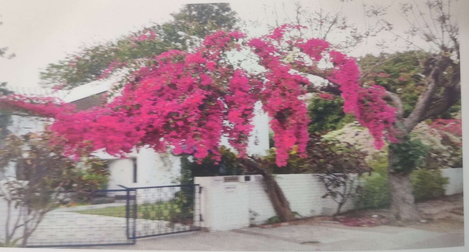 Our House- Chandigarh